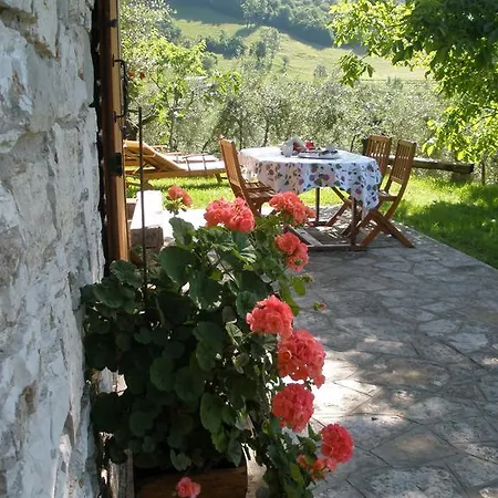 Holiday home Chalet Casa Coccinella *